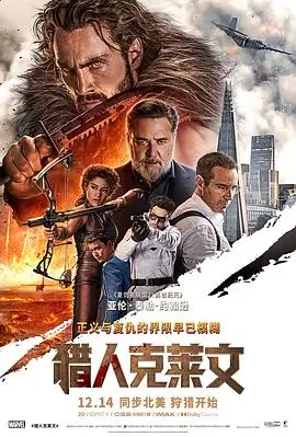 韩国电影妻子的姐姐 海报